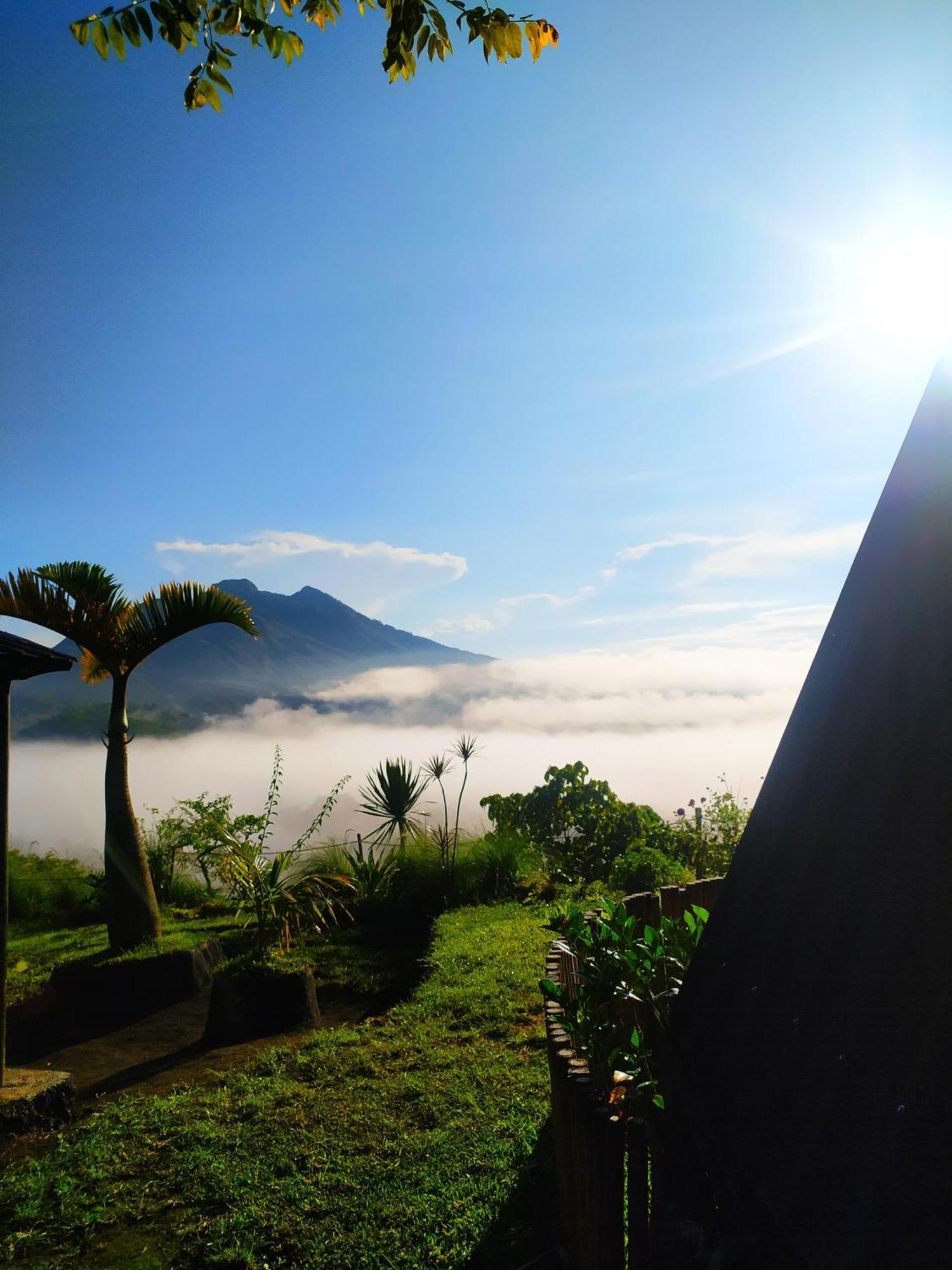 Kintamani Adventures 'Hide In Nature Lodge' Ngoại thất bức ảnh